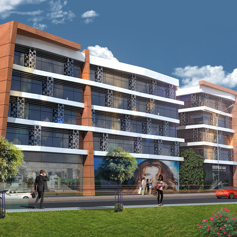 Portfolio image